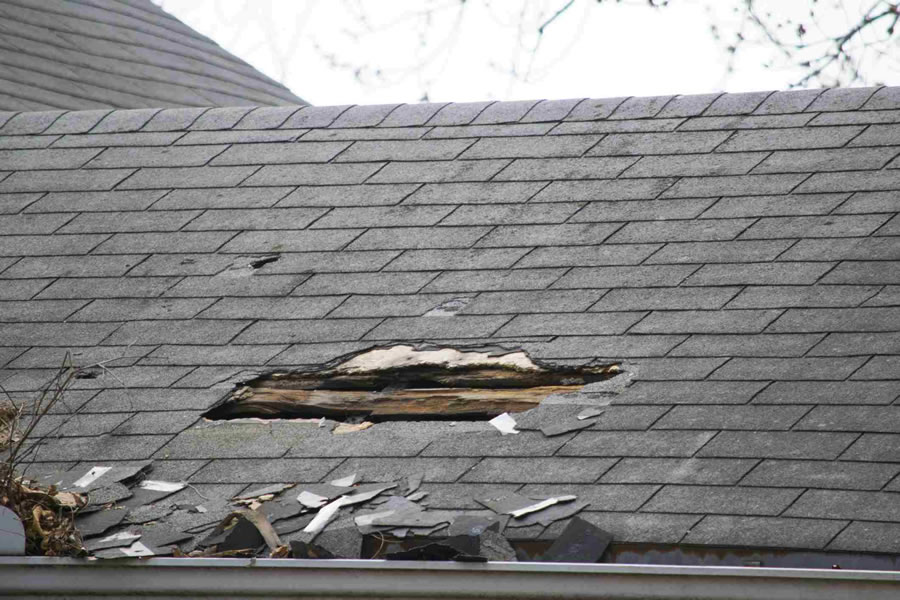 Moss, Rust, and Cracks: What They Spell for the Health of Your Roof