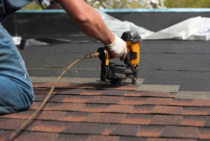 Shingle Damage? Here’s What You Should Do Immediately