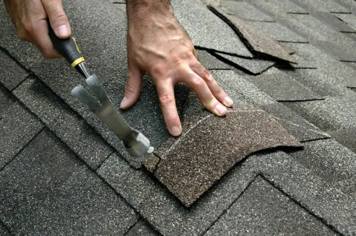 Roof Restoration: The Middle Ground Between Repair and Replacement